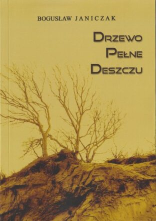 drzewo pelne deszczu